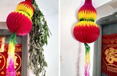 门前种仙人掌好吗？阳气最强的树是什么树？