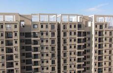 大门两侧种棕榈对户主有没有好处