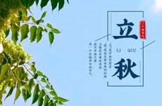 梦见南瓜 梦到南瓜