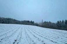 小雪节气的民俗活动及禁忌