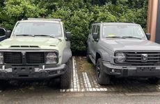 2025年11月5日适合买车提车吗