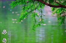 谷雨出生宝宝起名：谷雨出生的宝宝小名大全