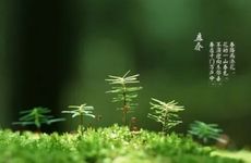 梦见蔬菜怎么回事 梦见蔬菜有什么预兆