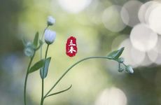 ​2022年立春是哪一天的什么时候