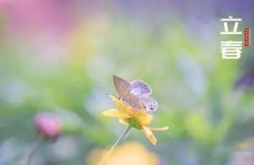 立春能不能回娘家 出嫁姑娘不回娘家