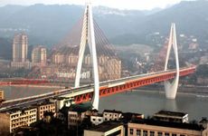 从7月25日开始 桃花旺盛 能收获告白 脱单成功的三大生肖