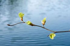女儿节是每年的哪一天 女儿节是每年的农历七月初七