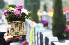 七月半上坟是上前还是上后