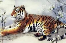 梦见大火烧山，暗示什么？会带来什么？