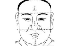 额头低面相运势表示智慧不高