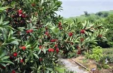 伤感微信网名精选大全