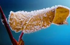 离火九运是丙火还是丁火？三元九运离火运