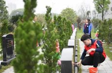 头脑最为灵活聪明过人的四大生肖