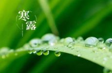 梦见火烧山了后又扑灭有什么征兆