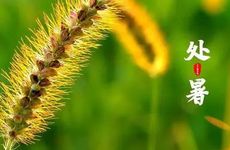 梦到男朋友出轨是什么意思 梦见男朋友出轨怎么回事