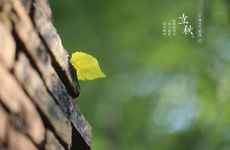 梦见三只眼的人物是什么意思？