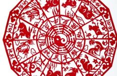 72年属鼠的2023夫妻感情运势 72年鼠一生中有几次婚姻