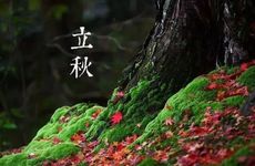 2023立秋后晚上会凉快吗