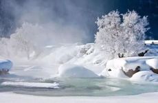 梦到老鼠是什么征兆 周公解梦