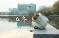 大门错开厕所门多少 门与门错开多少最佳