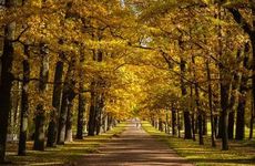 假期孤独症患者星座