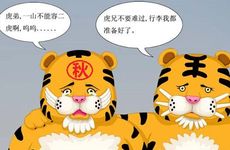 属虎的人住三楼好不好 属虎的出生年份适合楼层