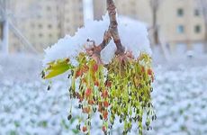 2022年谷雨是几月几日？这一天结婚吉日吗？