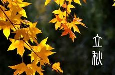 立秋节气的民间习俗和注意事项