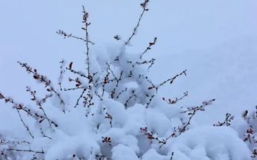 小雪的气候特征 小雪过后的天气