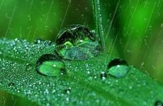 2023年雨水几月几号几分几秒 雨水的民俗有哪些