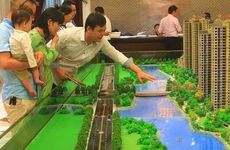 石头和鱼缸的摆放大有学问