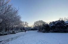 梦见化装舞会周公解梦，梦见化装舞会是什么意思？