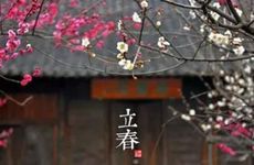 梦见周围到处都是坟墓