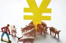 1983年属猪人2025年运势和财运