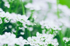 立夏节气不能吃的食物 立夏节气能吃豆腐吗