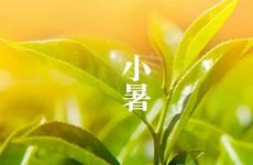 2024年小暑是什么时候 今年小暑节气是哪天