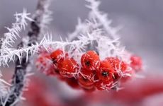 大年三十晚上能带小孩出门吗