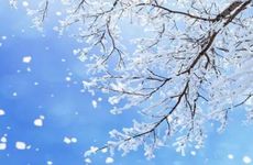 梦见电梯坏了怎么回事 梦见电梯坏了有什么预兆