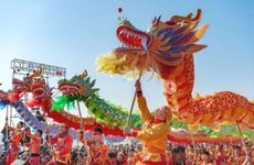 谁才是考驾照最拿手的生肖