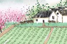 2024谷雨时节是什么时候