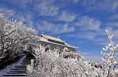 梦见脚肿了怎么回事 梦见脚肿了有什么预兆