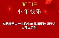 蚂蚁在家迷信说法 家里有大事发生