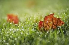 2023年白露在什么时间