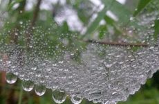 梦见踢飞足球　周公解梦之梦到踢飞足球