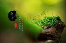 梦见大把掉头发是怎么回事 梦见掉了一大把头发是什么意思