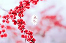 霍去病属相属什么生肖 霍去病的漠北之战