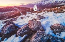 梦见中子弹是什么意思