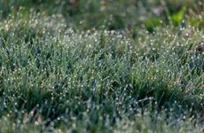 梦见孩子走丢了到处找不到