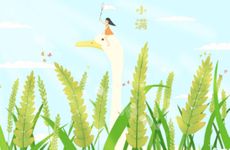 2022年5月21日小满可以结婚吗 今天办喜事吉利吗