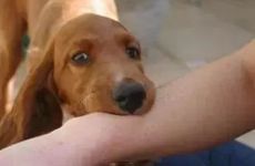 揭秘史上最适合土象星座的造型